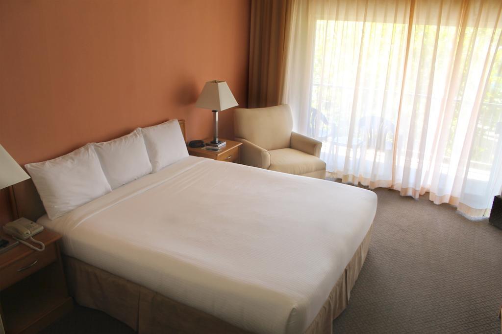Palos Verdes Inn 레돈도 비치 객실 사진